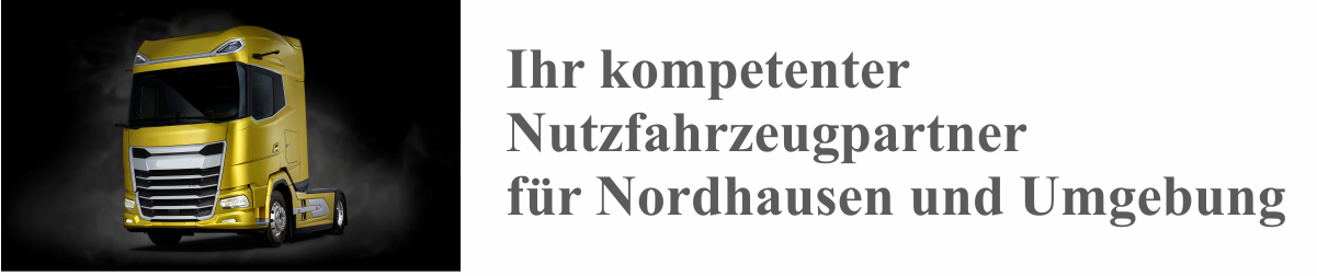 DAF Magdeburg Curt Schröter Nachf. GmbH, Nutzfahrzeuge, Lkw, Lastkraftwagen